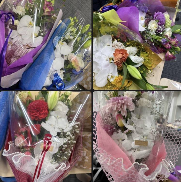kaimei,画像