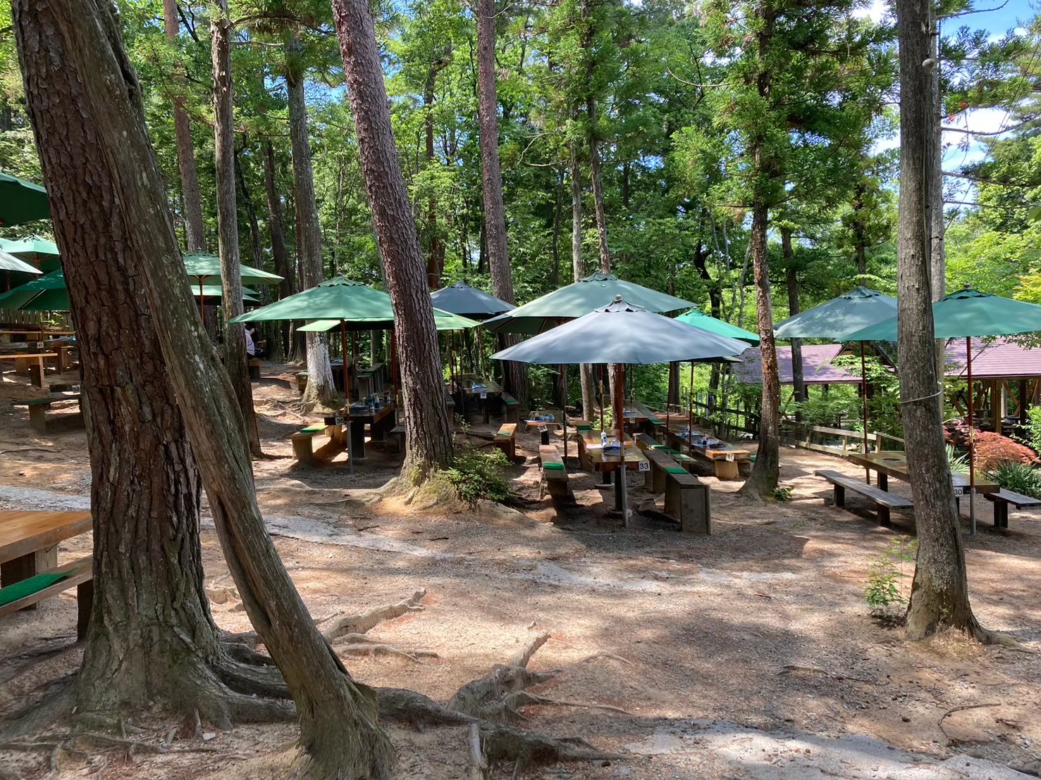 kaimei,画像